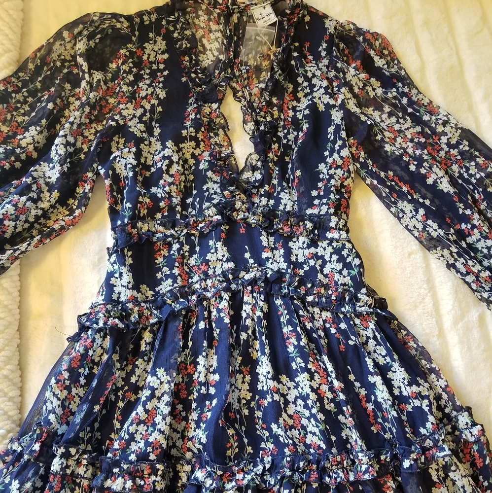 Runway Scout NIB Blue floral ruffle dress